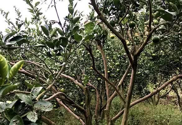 福州市公安局地址