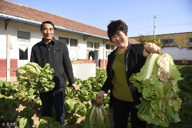 越来越多种植户都放弃种植了，农村种植业真的赚不到钱了吗