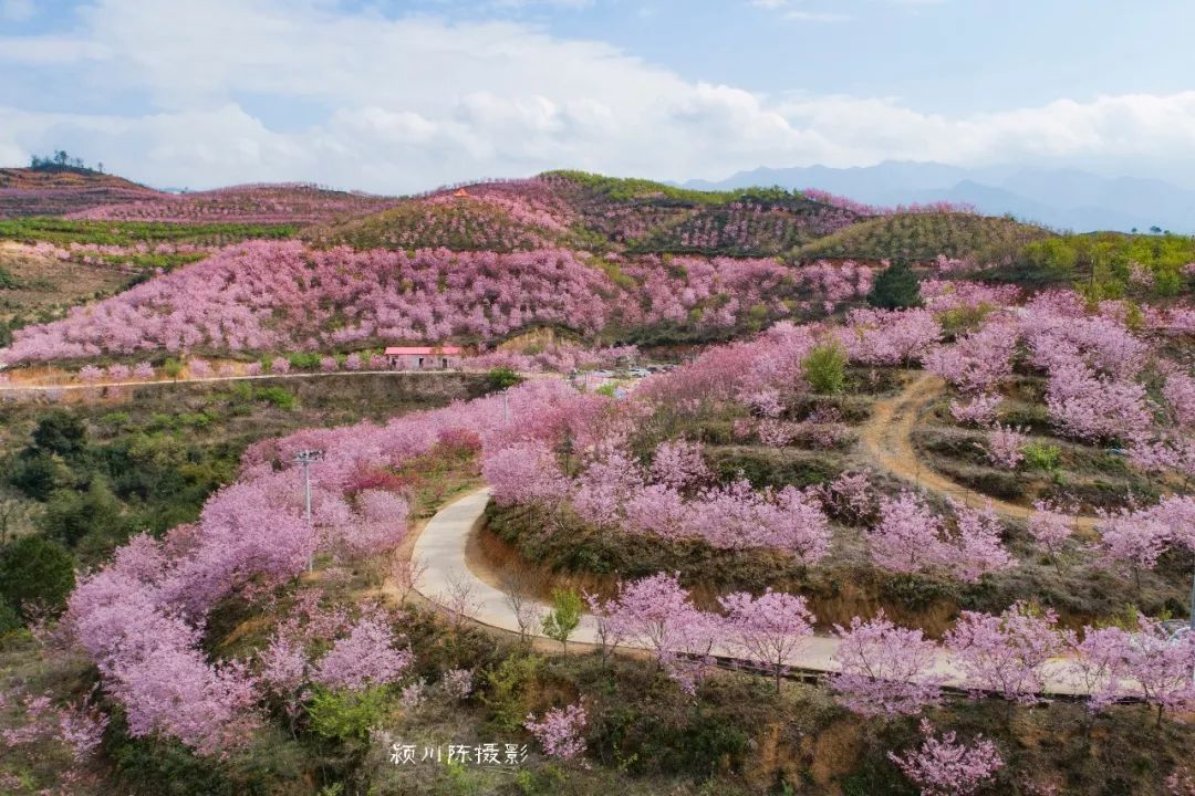 即刻出发!三明这份节后最a糖果v糖果糖果,攻略秘攻略万圣节路线图片