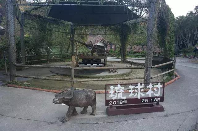 如果旅行是毒药，那姐妹淘就是我的解药！