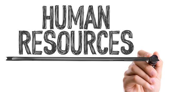 企业的人力资源管理者