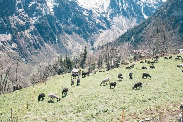 小镇以瀑布闻名：每年300万游客前来，当地人懒得开店赚钱