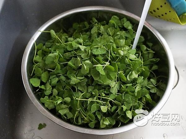 初夏营养草头挞饼