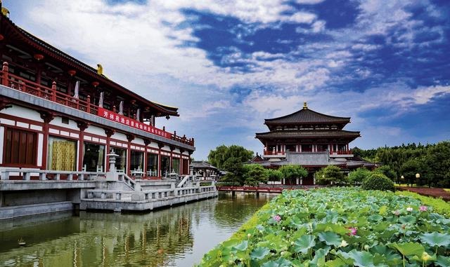 西安旅游业发生大地震,旅游警察化身FBI