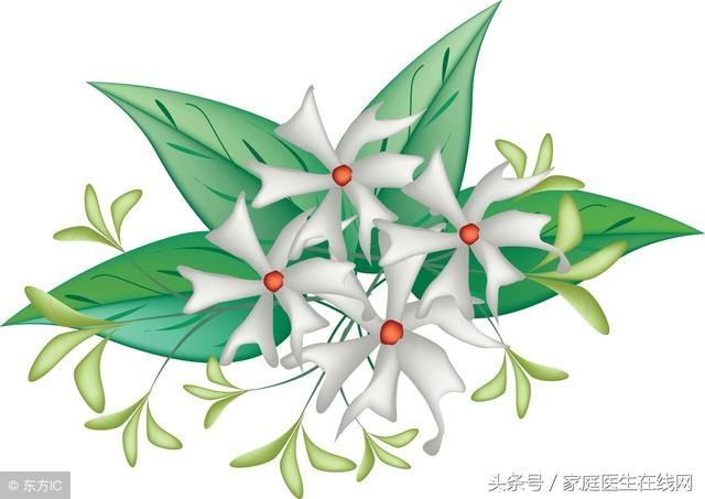 房间放绿色植物好不好？这6种植物放在家里会出大事