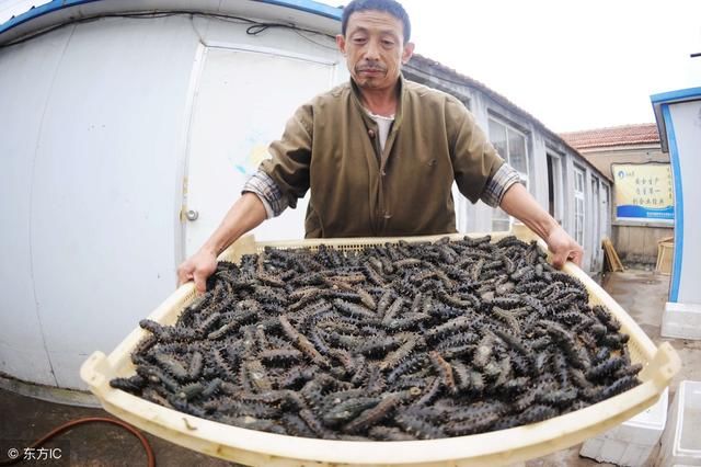 土地确权后，打算在农村承包土地做养殖需要哪些步骤和手续？