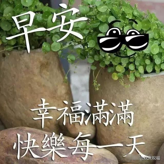 带字祝福早安的图片