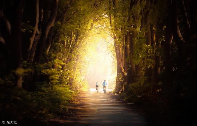 摄影入门RAW图像格式的文件特点