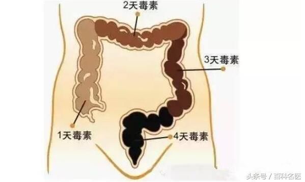 便秘了这么做，让你快速排便！