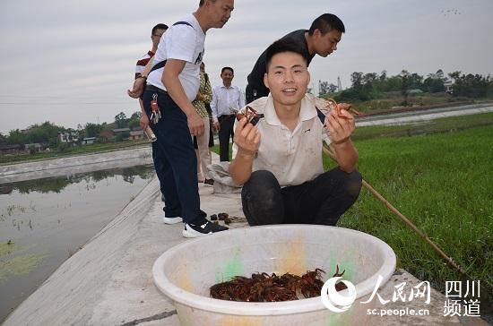 荣县高山镇:种养能手引领一方产业