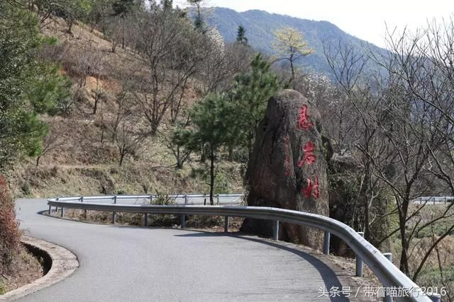 宁波四明山上这个神秘村庄，被樱桃花包围，如同世外桃源