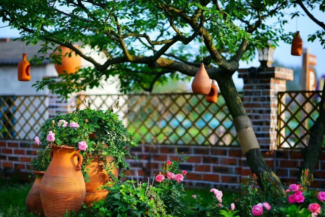 一对夫妻把青白江农家改造成“田园牧歌”，从此家有美景何必远方