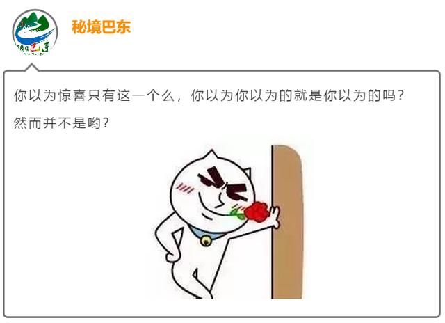 巴东旅游丨今天又温暖了两座城一一万州、巴东