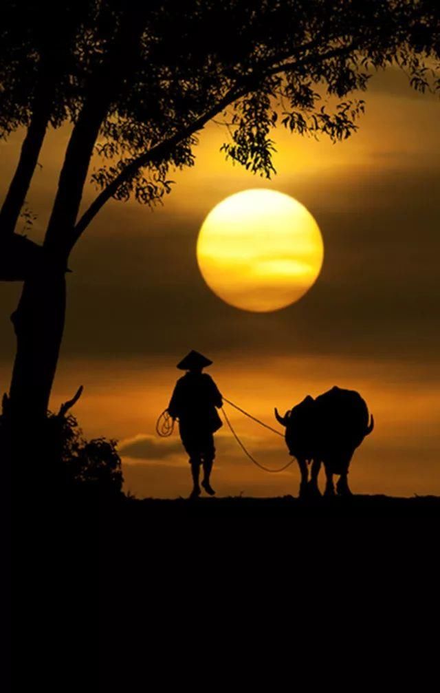 读万卷书你为什么活着?