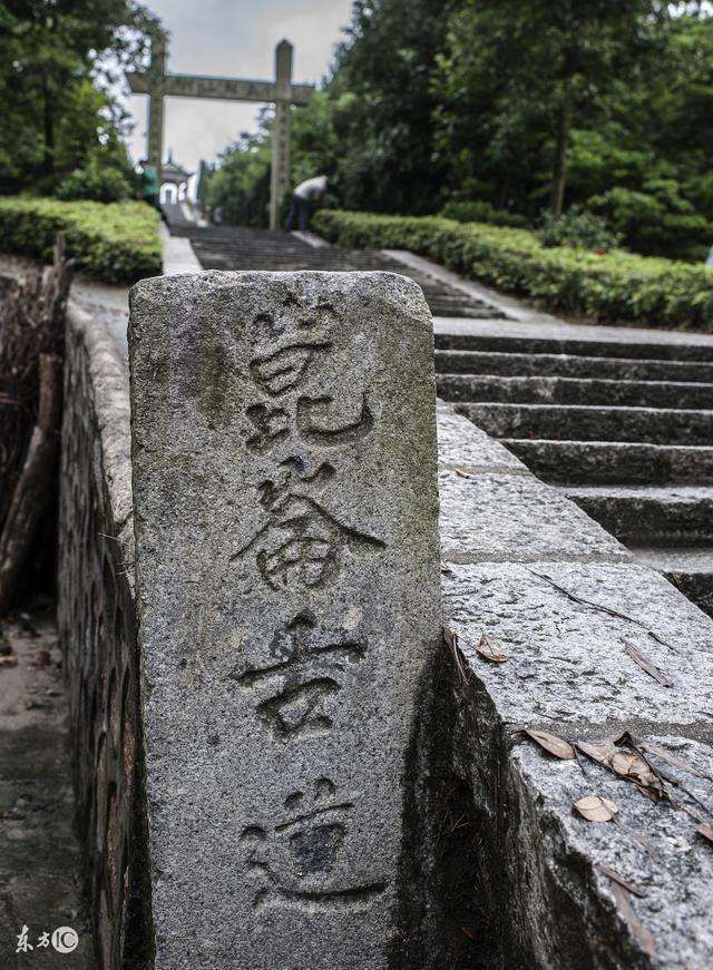 血战昆仑关: 日军“钢军”几乎被全歼, 战胜俄军的日本名将被击毙