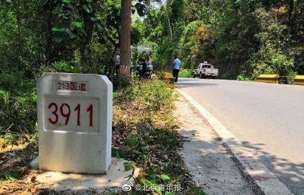 女游客遭西双版纳野象攻击 已发生多起伤人事