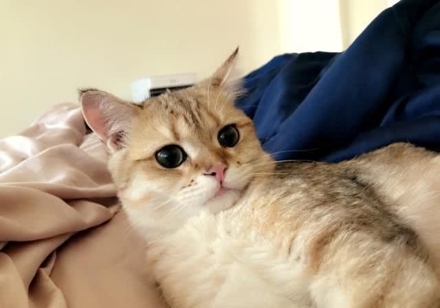 做餐饮需要哪些证件