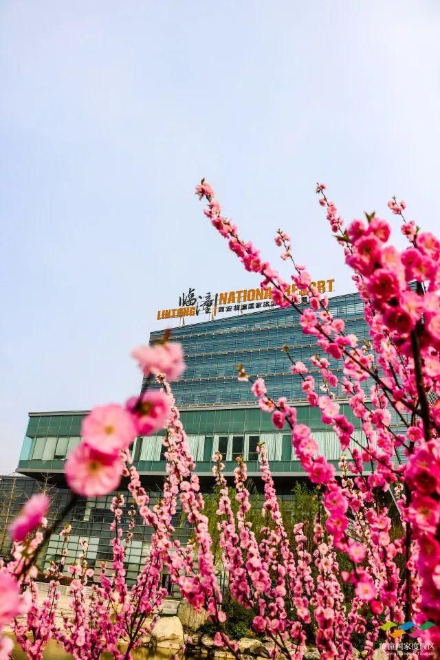 春满中国 醉西安｜春游好去处：在临潼度假区芷阳广场听见花开的