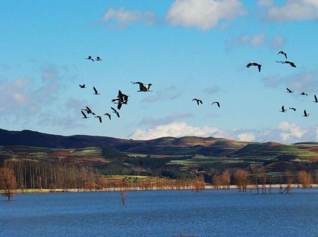 云南省人口第三多的地级市,位于三省交界处,有