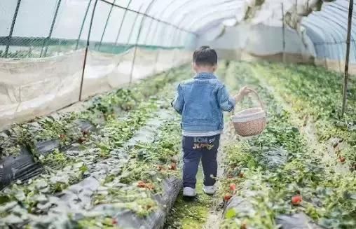 灌云2018春节旅游大盘点!