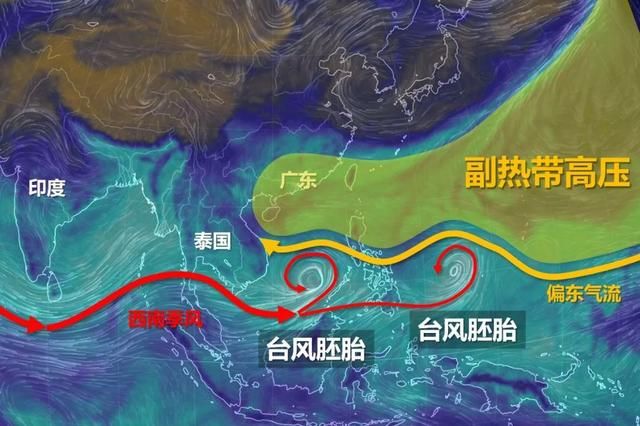 东莞最热5月终于过去了！今天起，冷空气+双台风即将送来凉爽……