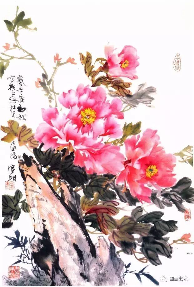 [转载]王宣明:新编画牡丹十招