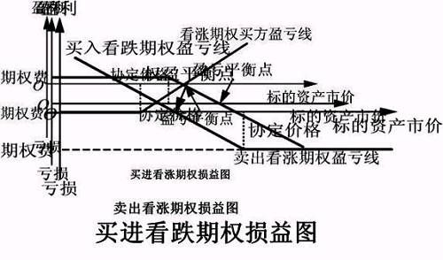 万万没想到 我就这样学会了豆粕期权...