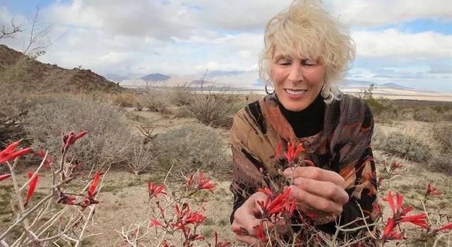 你没想到的，加州春季最美的景点，居然免费！