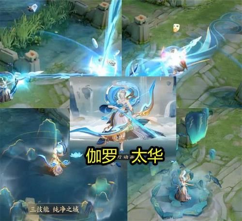 典韦岱宗多少钱