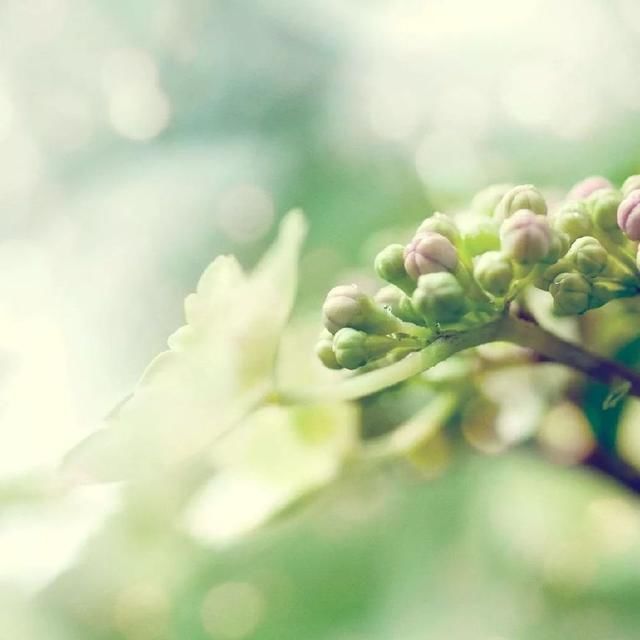 好句子优美句子