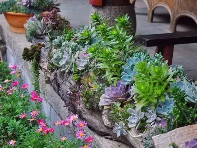 中国最美的尼姑庵，不烧香只种花，韩红也慕名而来！