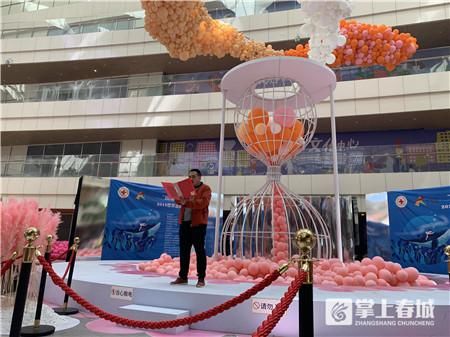 用博爱温暖星星!市红十字会开展2019世界自闭