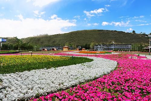 大通县:发展乡村旅游 推进乡村振兴