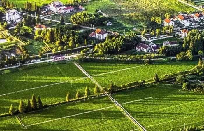 崇明2035年基本建成世界级生态岛 建设八个新