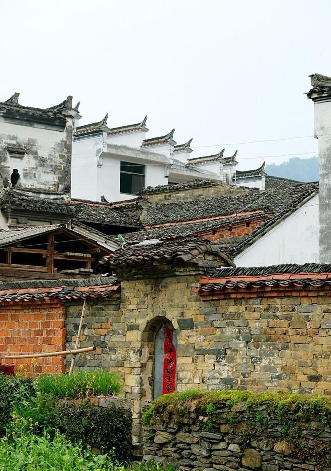 强暴雨后的婺源,遭百年不遇洪水居然还这么美!