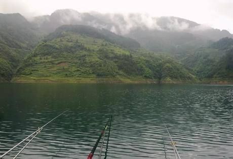 肥水难钓鱼?掌握这8个技巧爆护不在话下!