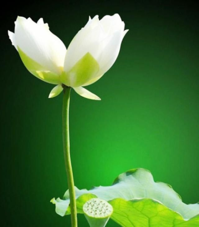 人都是感悟句子