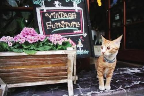 家政月嫂工资怎么样