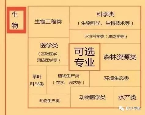 新高考改革-选科中每一科对应的专业。