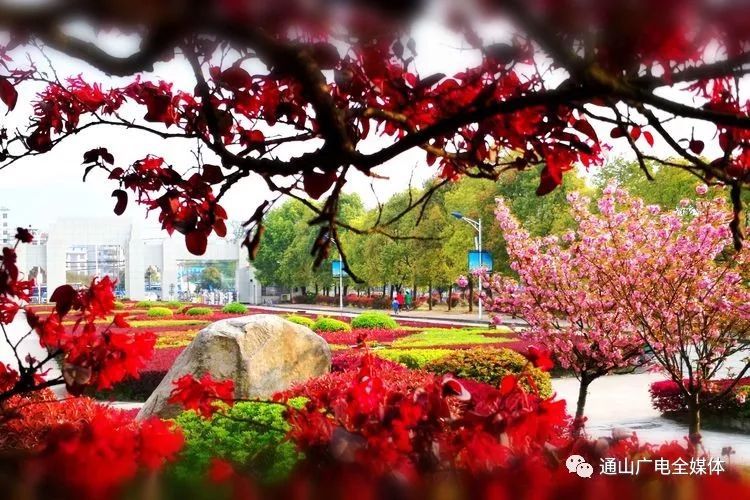 通山一中:我们都是追梦人