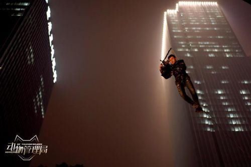 《动物管理局》王子文陈赫重庆杀青 剧情故事