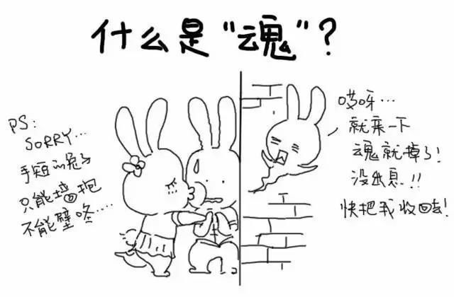 t013dd00cb30b7ed429.jpg