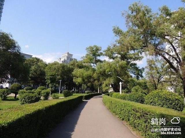 游佳木斯杏林湖公园