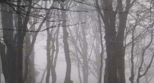 心理测试:哪个场景最让你感到害怕?测你内心隐