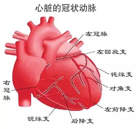 气血失调 当心冠心病