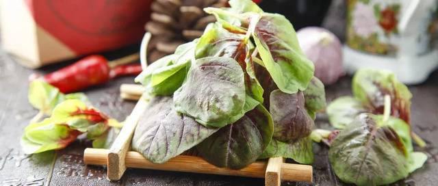 绿叶菜隔夜好不好 t013e5dbad5782dd196.jpg