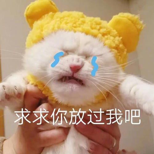 认怂宠物表情:多希望你无人问津,全世界我有的男朋友表情包图片