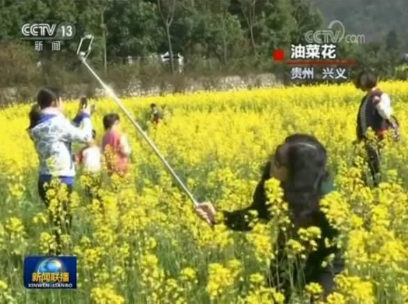 日观花海夜赏灯 幸福假日欢乐多