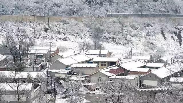 别去日本了！北京这趟6元小火车，带你穿越绝美樱花！沿途风景惊