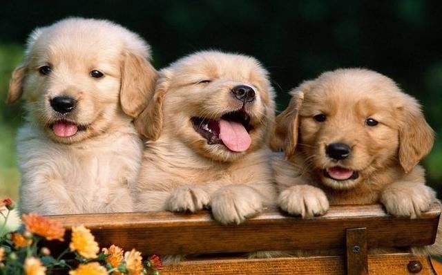 历史上最尴尬的三个姓,身份证都不好意思亮出